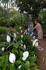 0197 Cairns Botanic Gardens